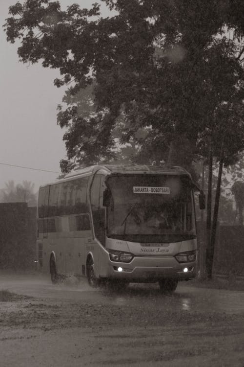 Бесплатное стоковое фото с автобус, автомашина, вертикальный выстрел