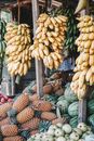 Free stock photo of abundance, agriculture, banana