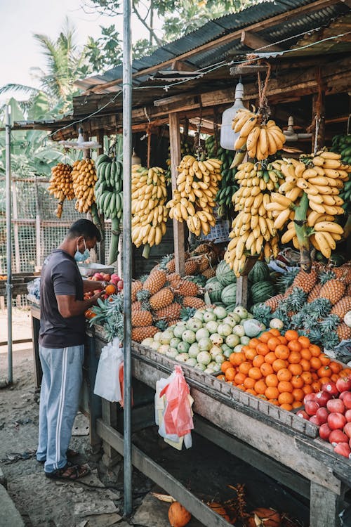 Безкоштовне стокове фото на тему «ананаси, апельсини, Асорті»