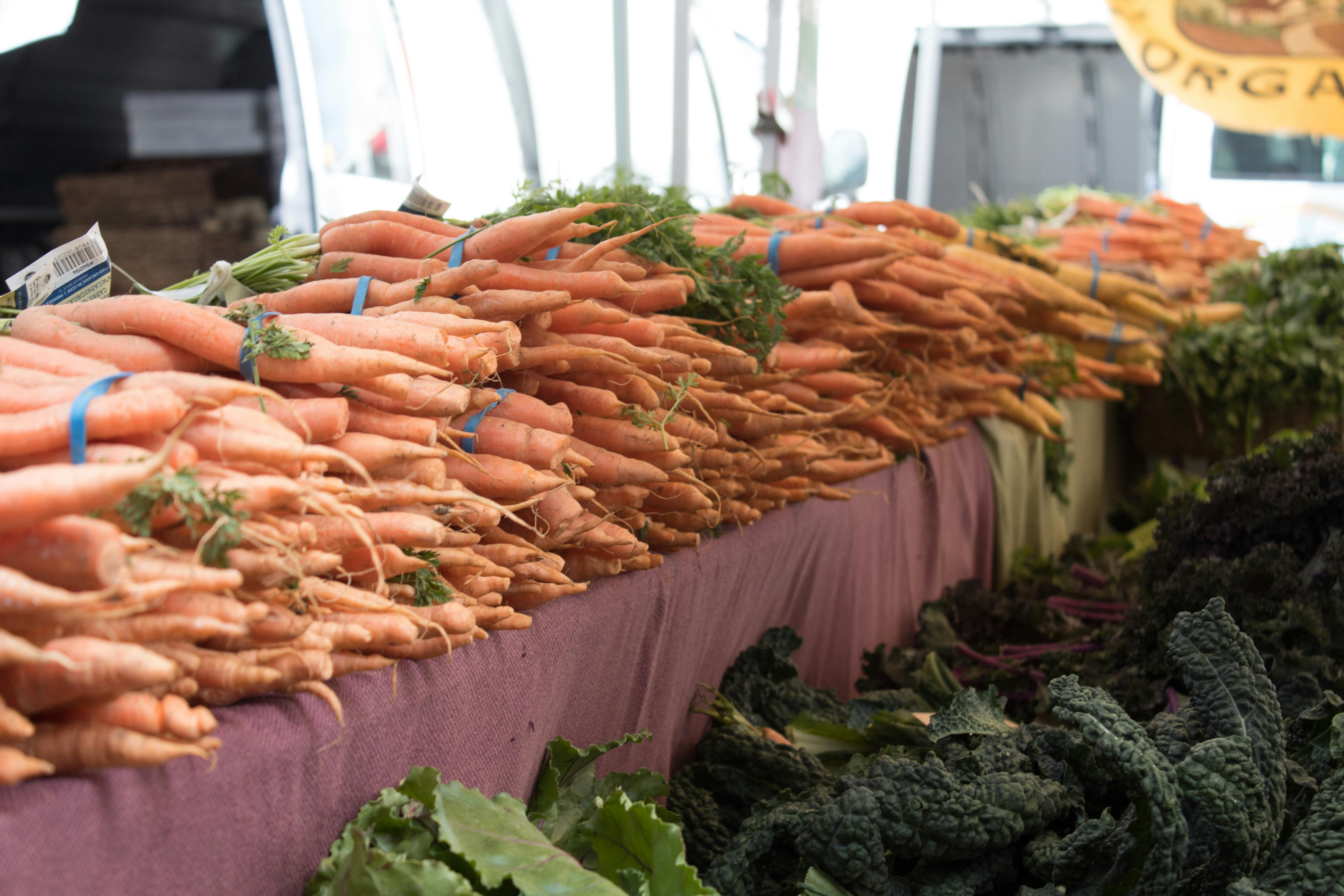 Free stock photo of carrots, farmers, farmers market