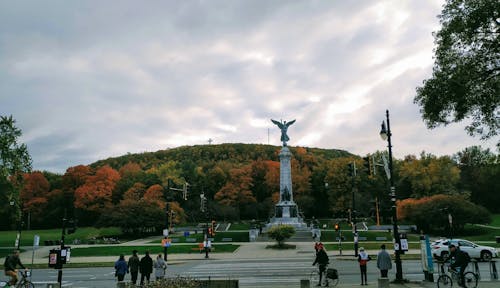 güz, şehir Parkı içeren Ücretsiz stok fotoğraf