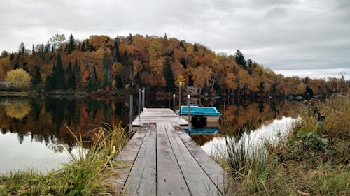 göl, güz içeren Ücretsiz stok fotoğraf