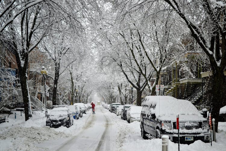 Cars On A Snow-Covered Road