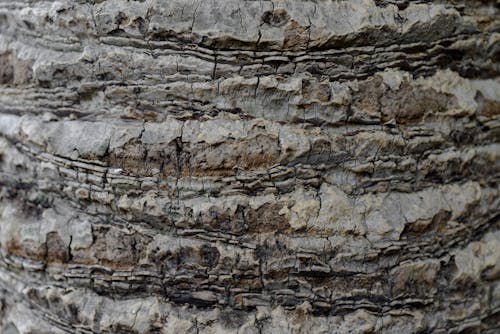 Close-Up Shot of a Rock