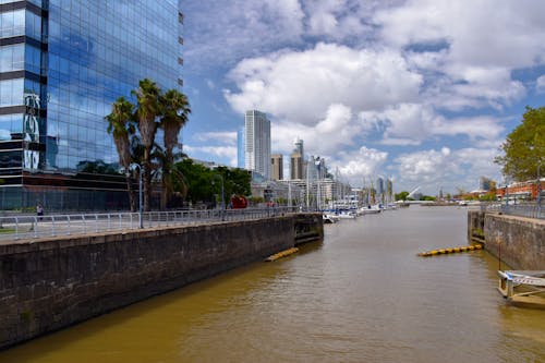 City Buildings near the River