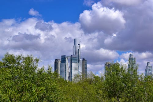 Trees near the City Buildings 