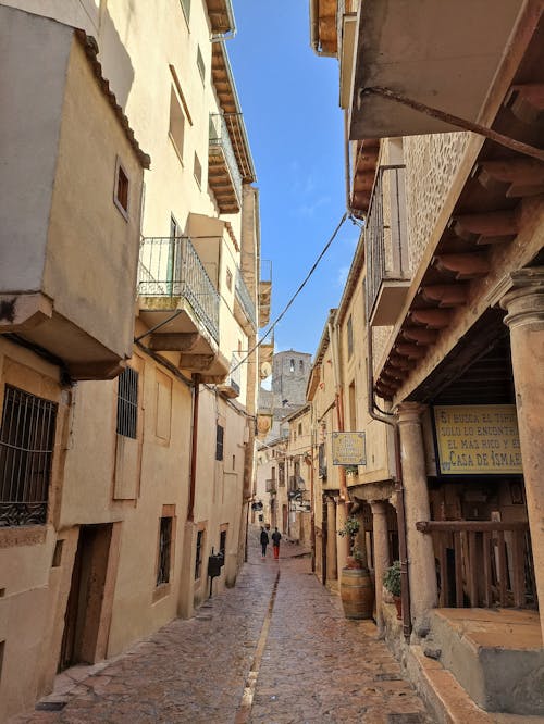 People Walking in a Narrow Alley