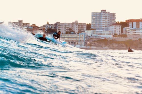 エクストリームスポーツ, サーフィン, しぶきの無料の写真素材