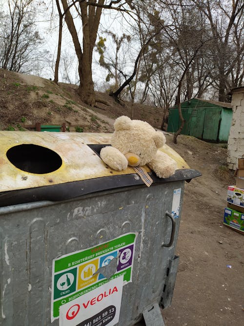 垃圾, 泰迪熊 的 免费素材图片