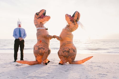 Kostnadsfri bild av bröllopsfotografi, dinosaurier, enhörning