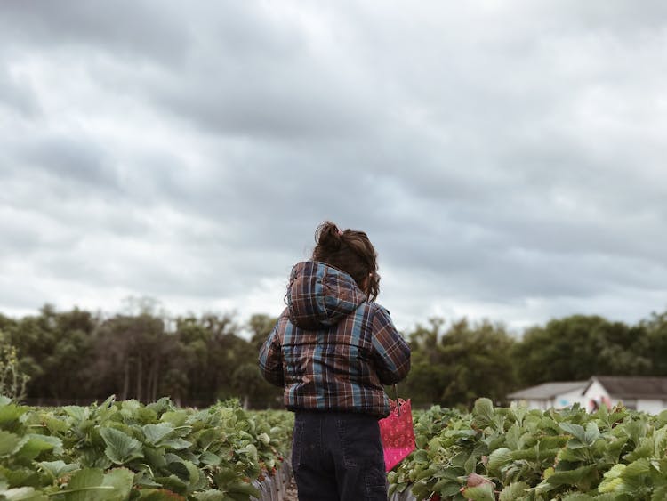 Back View Of A Girl In A Plantation