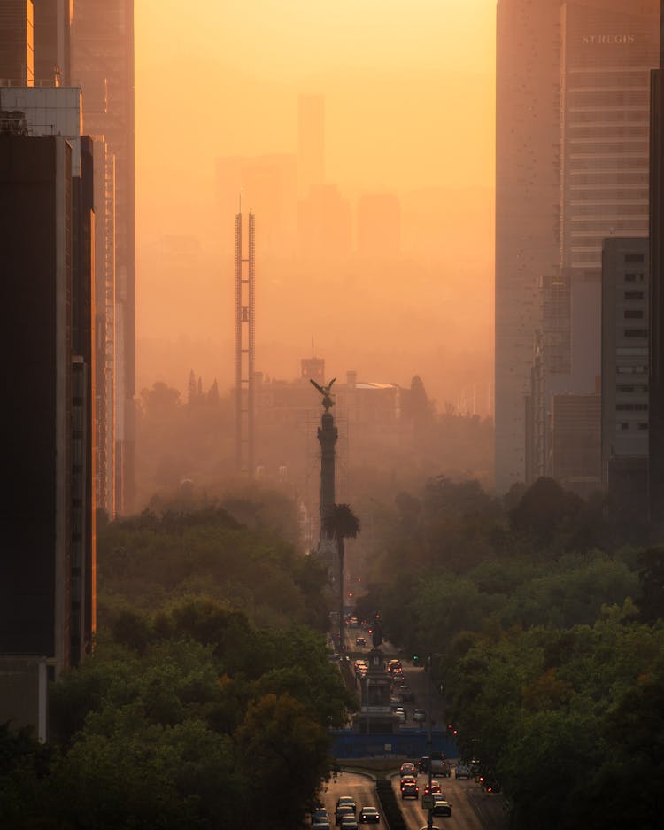 View On A Street In Mexico City At Sunset 