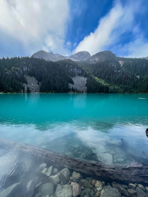 joffre湖, 土耳其藍, 垂直拍攝 的 免費圖庫相片