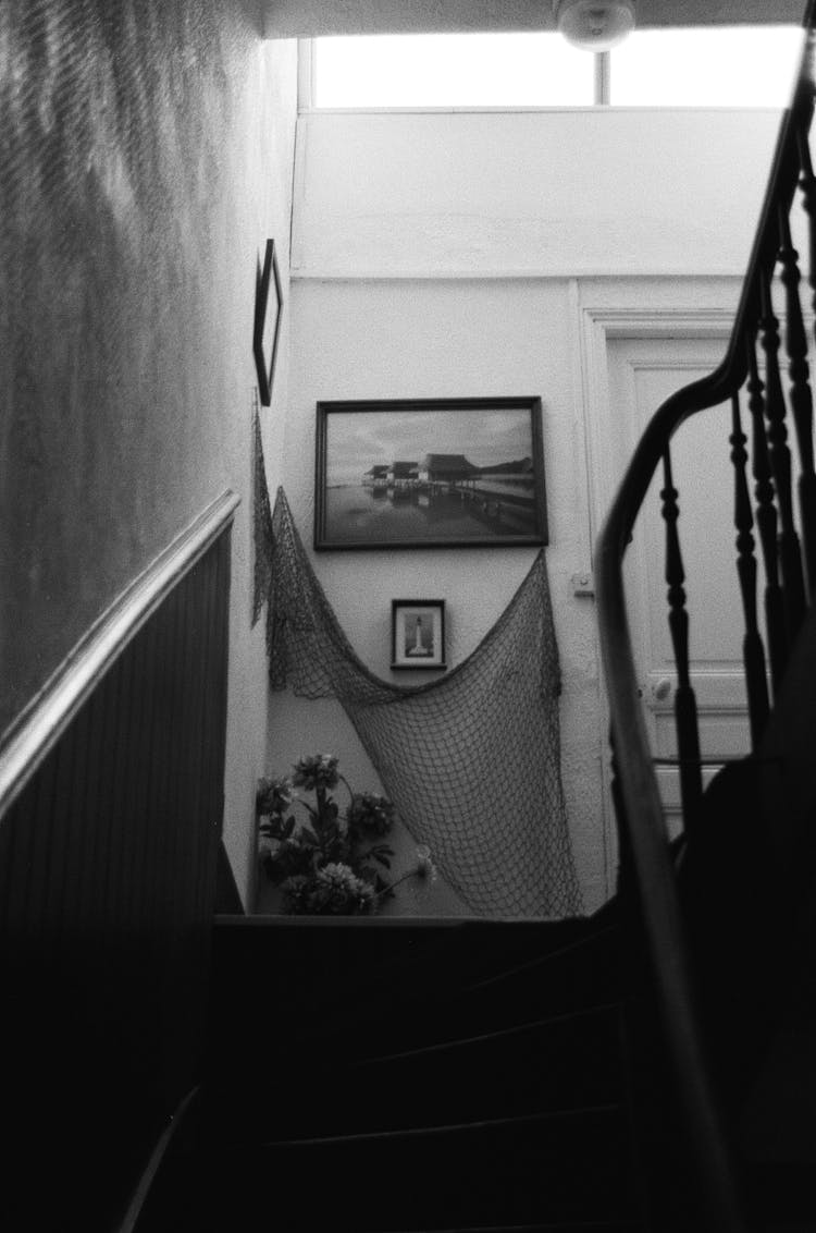 Grayscale Photo Of Stairs