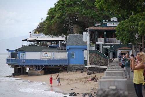 Gratis lagerfoto af front street, lahaina fisk selskab, restuarant