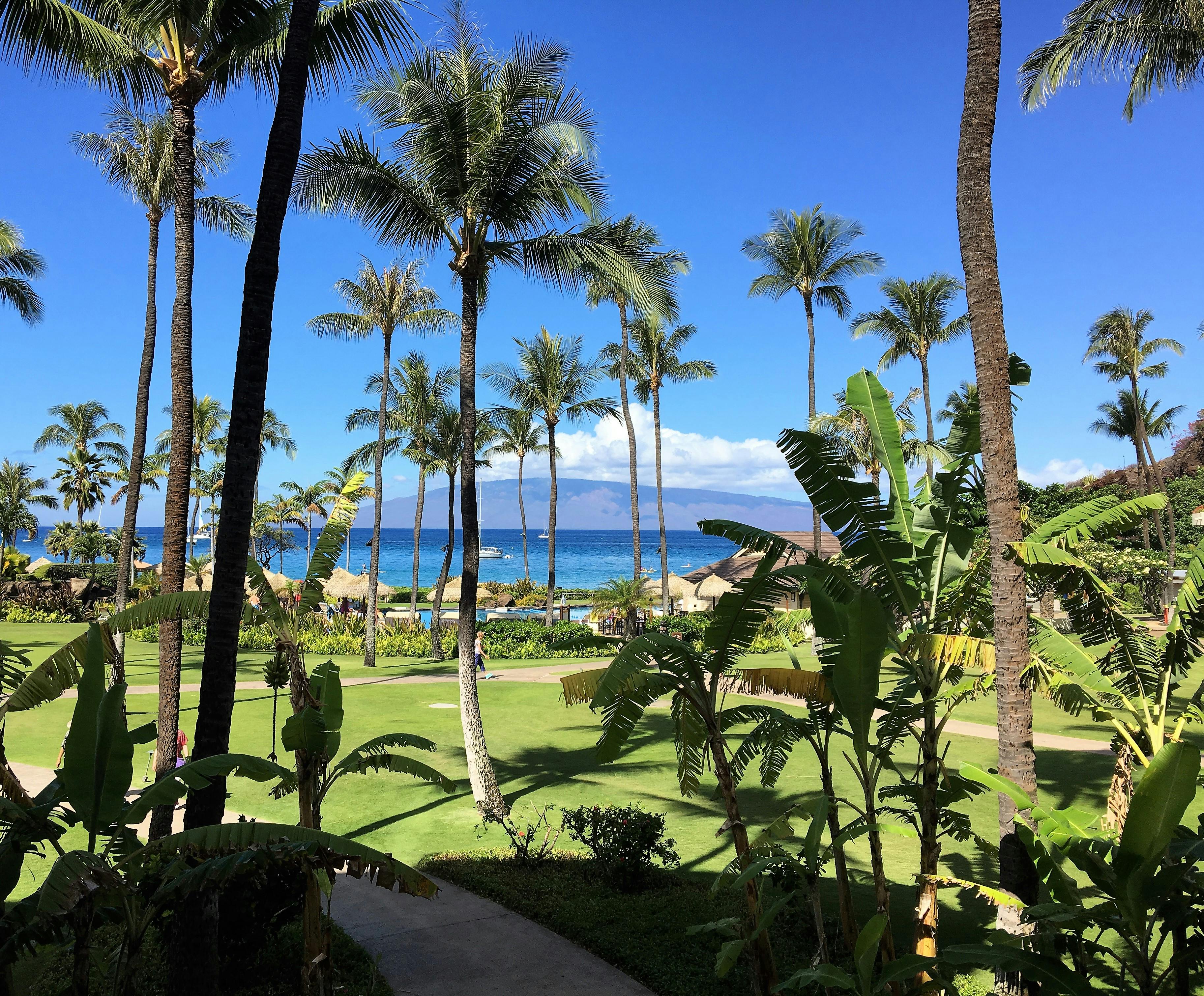 Free stock photo of Blue ocean, green lawn, maui