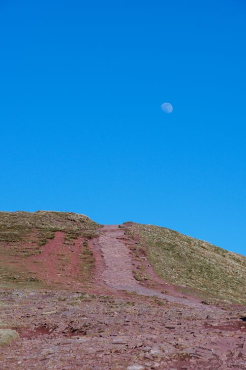 Free A tranquil pathway leading over a hill with the moon visible in a clear blue sky. Stock Photo