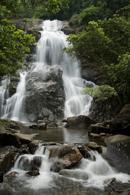 Foto d'estoc gratuïta de arbres verds, cascades, corrent