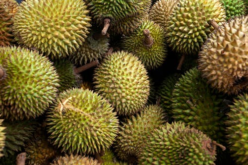 Close-up Shot of Durian Fruits