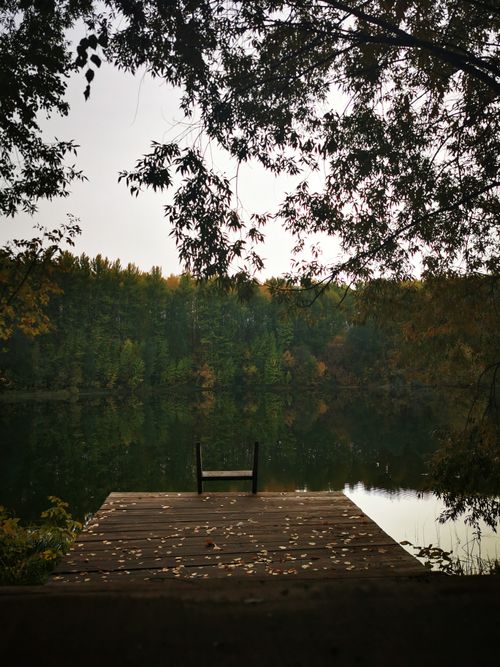 Free A serene lakeside wooden pier surrounded by autumn trees, perfect for reflection. Stock Photo