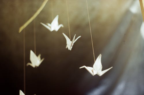 Close Up of Origami Birds in Sunlight