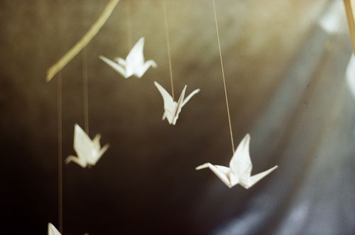 Free A soothing scene of origami cranes suspended in gentle sunlight, casting a serene atmosphere. Stock Photo