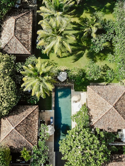 俯視圖, 房子, 棕櫚樹 的 免費圖庫相片