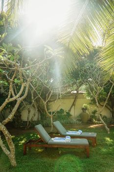 Lounge chairs with towels in a lush Sri Lankan garden with sunlight streaming through palm leaves.