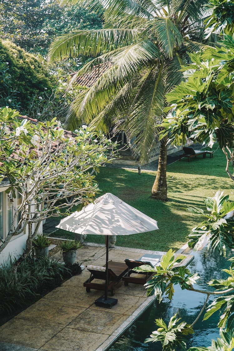 Armchairs In Resort