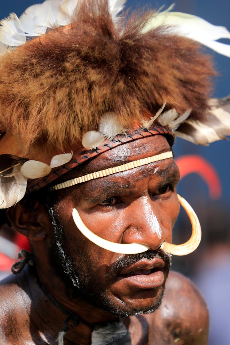 Indigenous Papuan Man In Ceremonial Costume