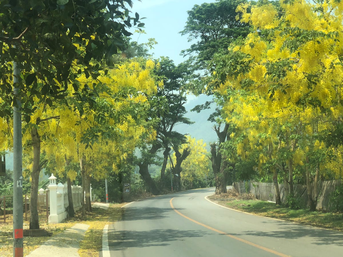 Bicycle restoration and preservation