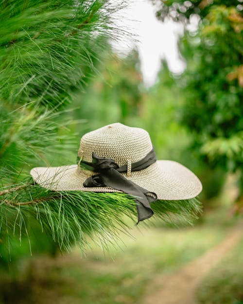 Sun Hat on Green Plant