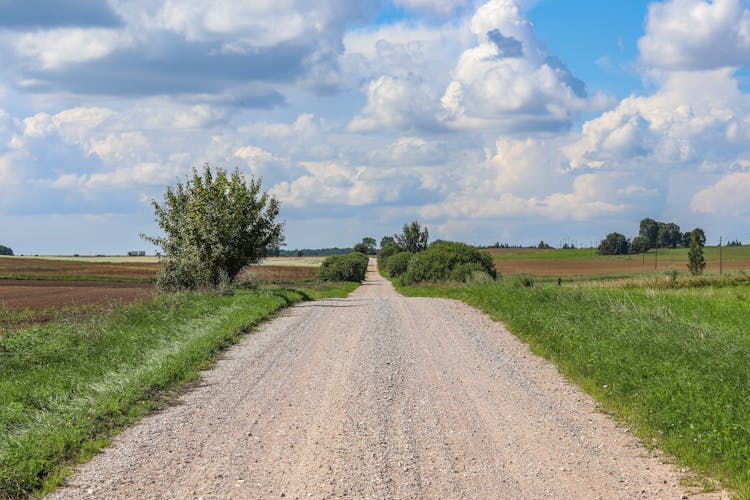 Gravel Road Separating Fields