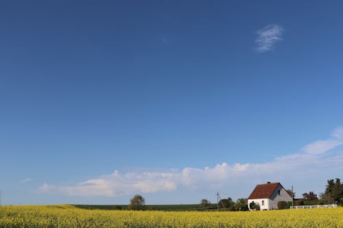 Darmowe zdjęcie z galerii z błękitne niebo, dom, domy