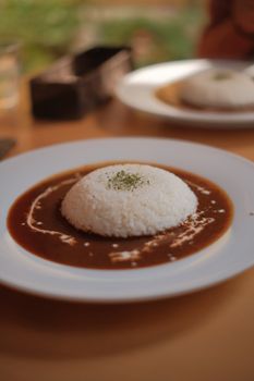 Brown With Cheese And/or Cream Based Sauce Rice
