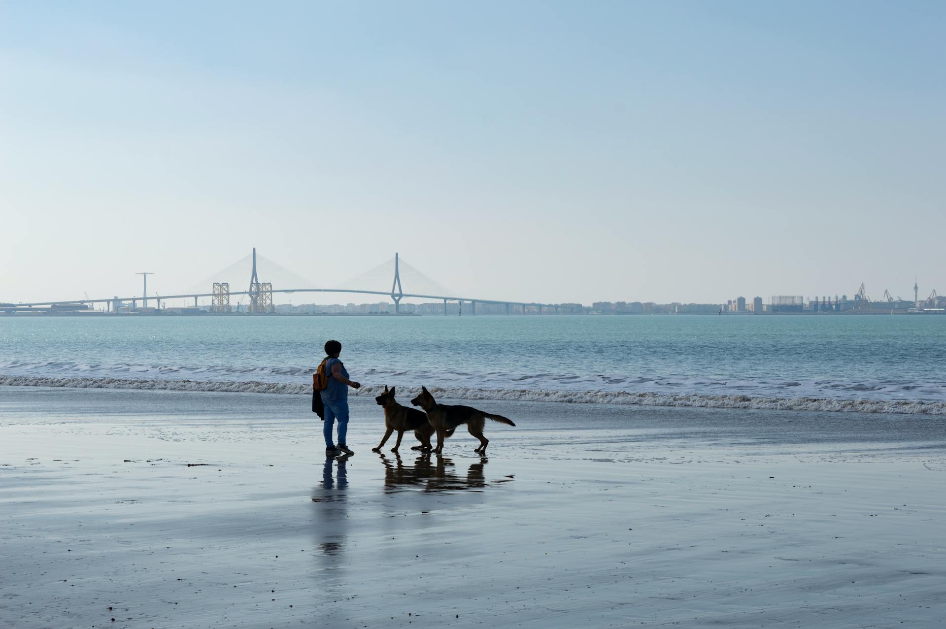 Woman with Two Dogs on the Shore