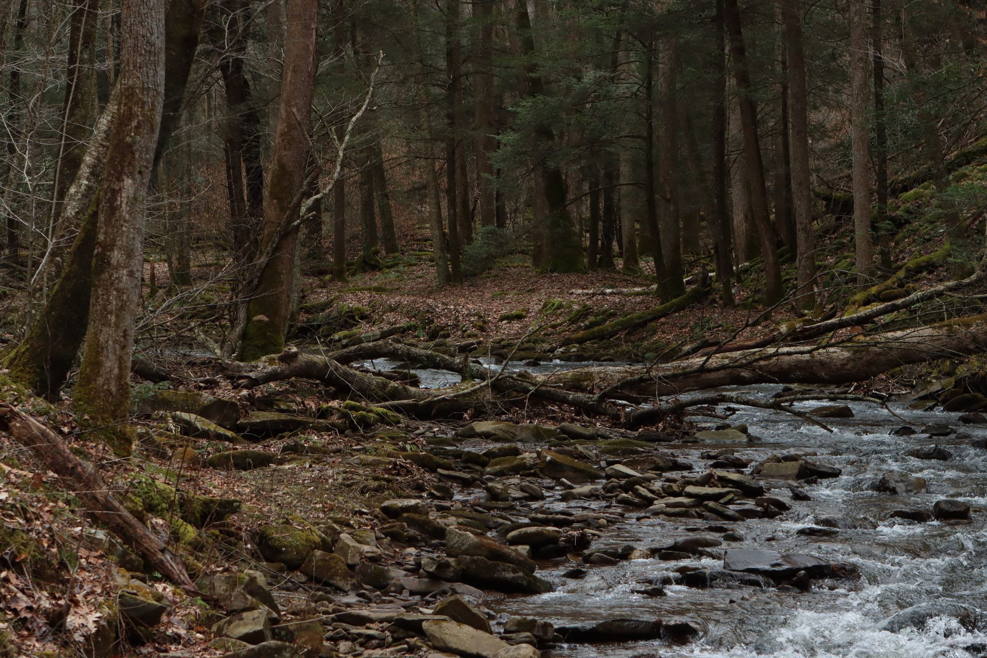 Falling Waters, Falling Waters WV — neighborhood review