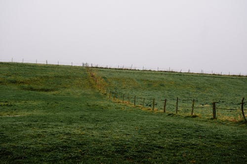 Gratis lagerfoto af bane, fægte, gård