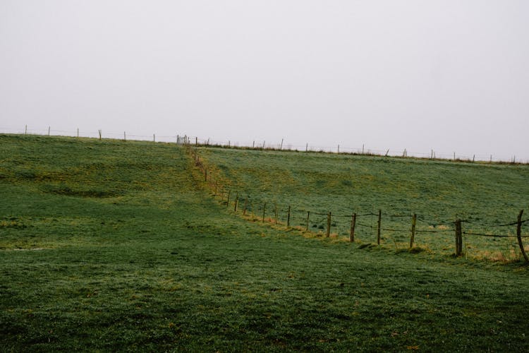 Green Rural Pasture With A Fence 