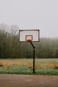 A solitary basketball hoop stands on a misty rural court surrounded by autumn trees.