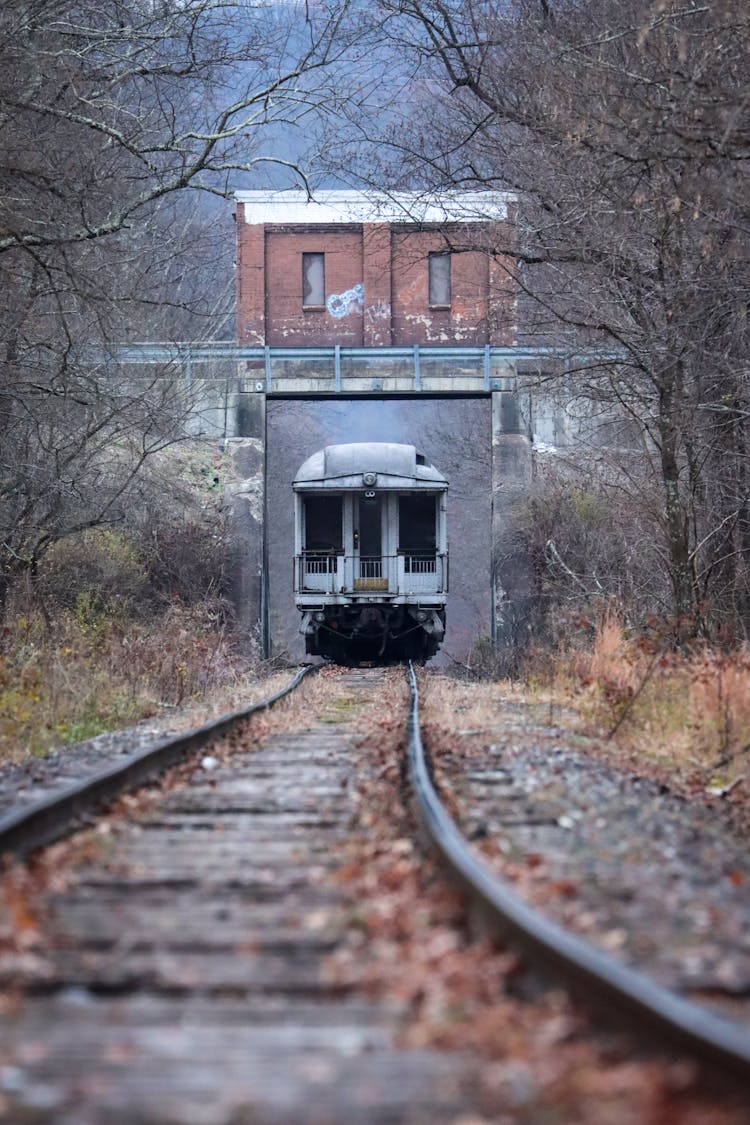 Train On Tracks In Autumn