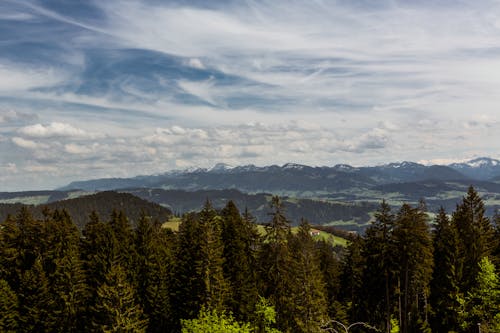 бесплатная Бесплатное стоковое фото с горный хребет, горы, деревья Стоковое фото