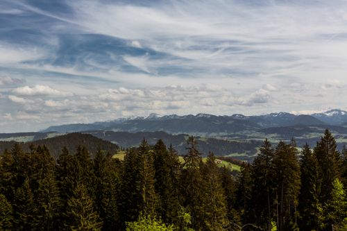 Free Breathtaking view of evergreen forest with snow-capped mountain range under a dynamic sky. Stock Photo
