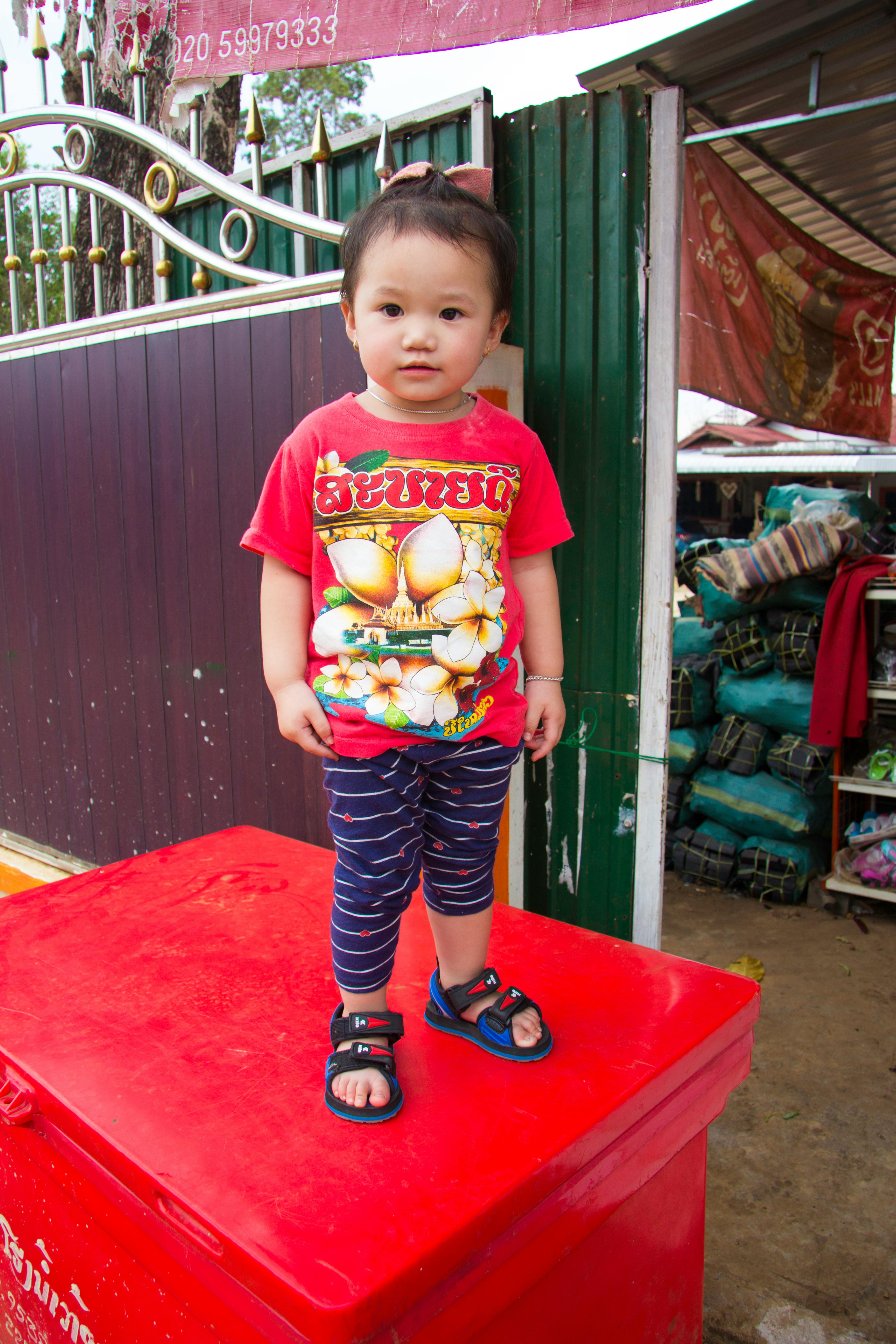 Cricket fielders appealing for a wicket around the batsman