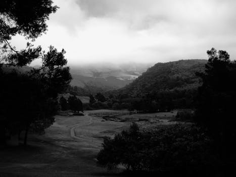 A moody monochrome landscape capturing the serene beauty of Winterton, KZN.