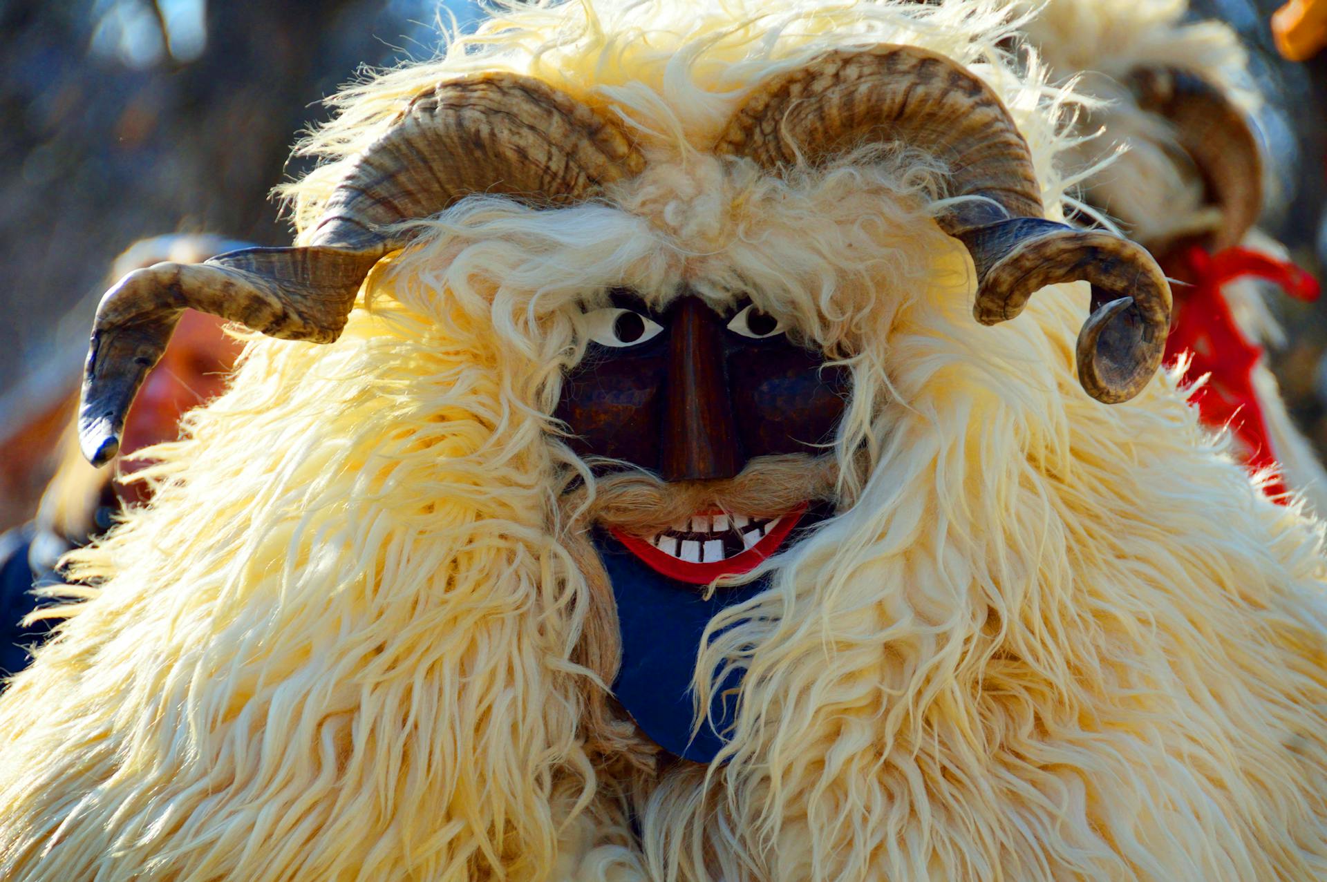 Person Wearing a Traditional Busó Carnival Mask in Mohács, Hungary