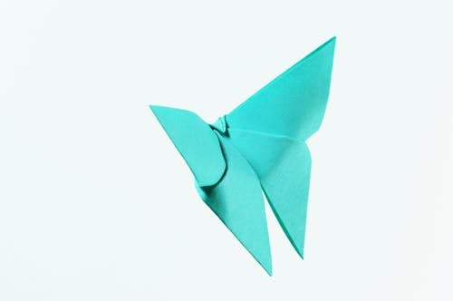 Ilustración De Mariposa De Papel Verde Azulado