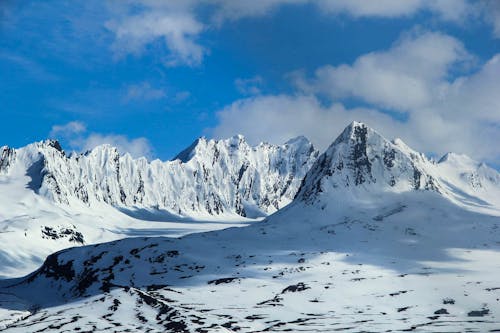 Základová fotografie zdarma na téma alaskan, Aljaška, fotografie