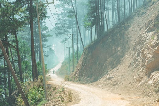A lone motorcyclist rides through a misty forest trail in Monterrey, Mexico, offering a serene adventure.