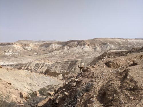 Free A breathtaking view of a desert canyon landscape with a gazelle in the foreground. Stock Photo